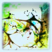 Tanpopo Crisis - Illegally Modified