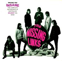 The Missing Links - Driving You Insane