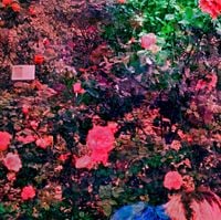sonhos tomam conta - borderline / dias perdidos