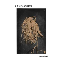 Landlords - Codeine