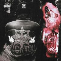 Duwap Kaine - Kaine&rsquo;s Diary