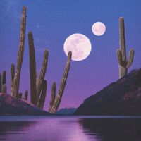 Mujo & Hakone - Cactus Island