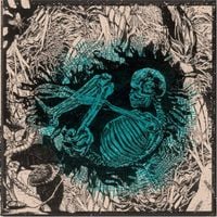 Ceschi / Pat The Bunny - Split