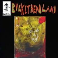 Buckethead - Thank You Taylor