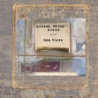 Broken Social Scene - Bee Hives
