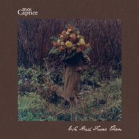 Moi Caprice - We Had Faces Then