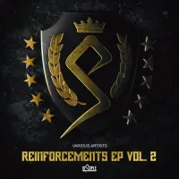 Various Artists - Reinforcements, Vol. 2