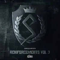 Disciple - Reinforcements, Vol. 3