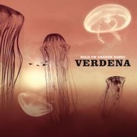 Verdena - Solo un grande sasso