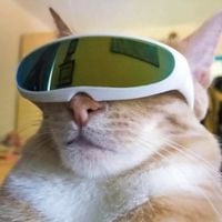 3mouth - STONED CAT SUMMER