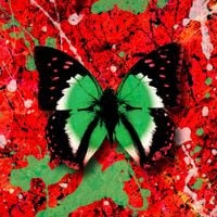 Ed Sheeran - 2step (Italian Remix)