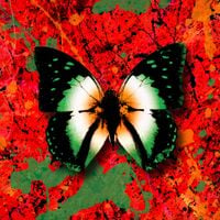 Ed Sheeran - 2step (Irish Remix)