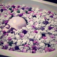 Circle Of Dolls - Zhuhit