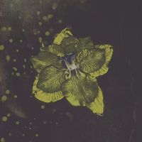 guardin - LOST & FOUND