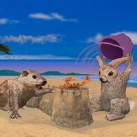 Pilotredsky - Groundhog