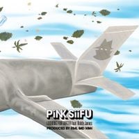 Pink Siifu & Real Bad Man - Looking for Water
