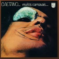 Caetano Veloso - Muitos Carnavais