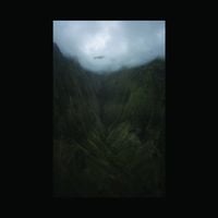 Antlers As Roots - Ephemera