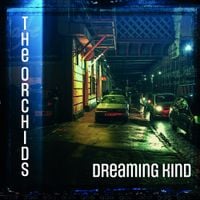 The Orchids - Dreaming Kind