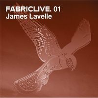 James Lavelle - FabricLive.01
