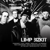 Limp Bizkit - Icon