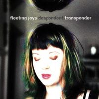 Fleeting Joys - Despondent Transponder