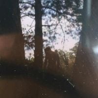 XXXTENTACION - skin