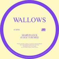 Wallows - Marvelous (Cole's Remix)