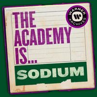The Academy Is... - Sodium