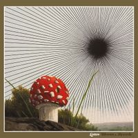 Lotus - Bloom & Recede