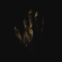 Fawn Limbs - Oleum
