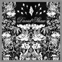 David Shaw - David Shaw