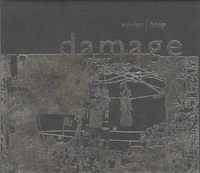 Robert Fripp & David Sylvian - Damage