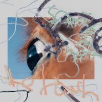 The Hatch - Shape of Raw to Come