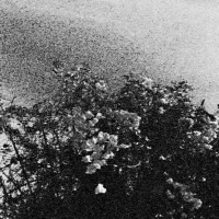 Celestial Sword / Trh&auml; - ed&euml;nohhdlha h&aacute;lgra tu majtranlh'ha / ga n&euml;c&euml;cta mon idlhi