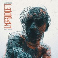 Signs of the Swarm - Unbridled