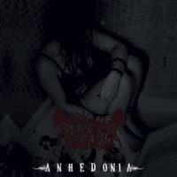 Lifeless - Anhedonia