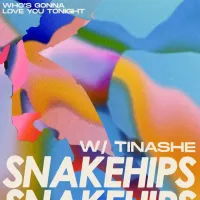 Snakehips & Tinashe - Who's Gonna Love You Tonight