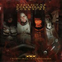 Negligent Collateral Collapse - Paranormal Nanodivision