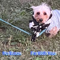 No Buses - I'm With You