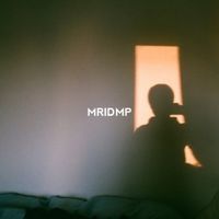 未来電波基地 [Miraidempa] - MRIDMP