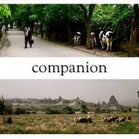 Zach Winters - Companion