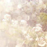 Poemme - Moments in Golden Light