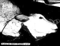 Farrowing Shed - Slaughtering Sentient Existence