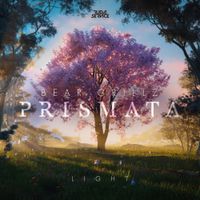 Bear Grillz - Prismata (Light)
