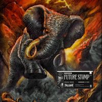 MARAUDA - Future Stomp