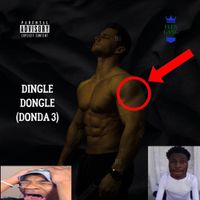 White Fury - Dingle Dongle (Donda 3)