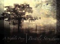 A Nightlit Poesy - Brittle Structure