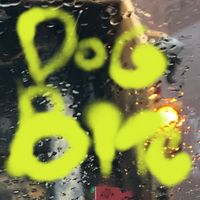 COHORT B - Dog Bite