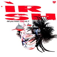 Various Artists - did you mean: irish vol. 2